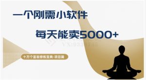 十万个富翁修炼宝典之17.一个刚需小软件,每天能卖5000+-搞薯条网