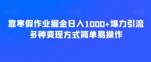 靠寒假作业掘金日入1000+爆力引流多种变现方式简单易操作-搞薯条网