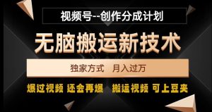 视频号无脑搬运新技术，破原创壕流量，独家方式，爆过视频，还会再爆【揭秘】-搞薯条网