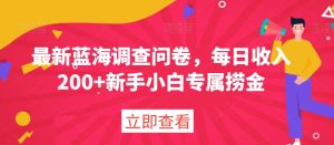 最新蓝海调查问卷,每日收入200+新手小白专属捞金-搞薯条网