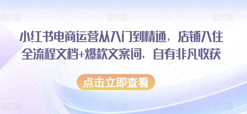 小红书电商运营从入门到精通，店铺入住全流程文档+爆款文案词，自有非凡收获-森森项目库