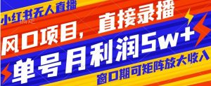 风口项目,小红书无人直播带货,直接录播,可矩阵,月入5w+【揭秘】-搞薯条网