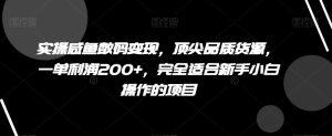 实操咸鱼数码变现,顶尖品质货源,一单利润200+,完全适合新手小白操作的项目【揭秘】-搞薯条网