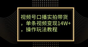 视频号口播实拍带货，单条视频变现14W+，操作玩法教程-搞薯条网
