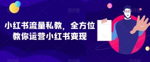 小红书流量私教，全方位教你运营小红书变现-搞薯条网