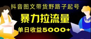抖音图文带货暴力起号,单日收益5000+,野路子玩法,简单易上手,一部手机即可【揭秘】-搞薯条网