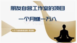 十万个富翁修炼宝典之16.朋友自营工作室的项目,一个月赚一万八-搞薯条网