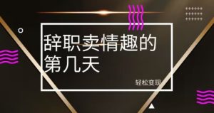 冷门赛道,辞职卖情趣的第几天,超暴力项目-搞薯条网