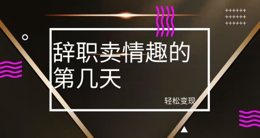 冷门赛道，辞职卖情趣的第几天，超暴力项目 - 搞薯条网-搞薯条网