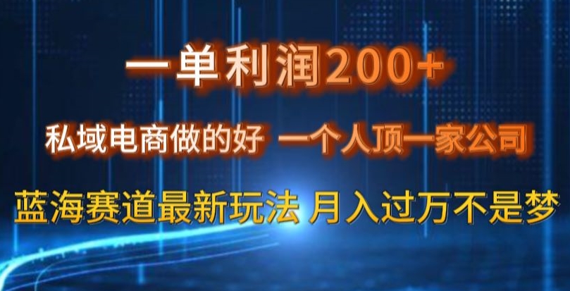 一单利润200私域电商做的好，一个人顶一家公司蓝海赛道最新玩法【揭秘】-森森项目库