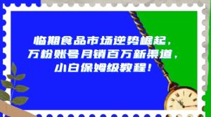 临期食品市场逆势崛起,万粉账号月销百万新渠道,小白保姆级教程【揭秘】-搞薯条网