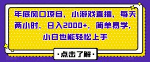 年底风口项目,小游戏直播,每天两小时,日入2000+,简单易学,小白也能轻松上手-搞薯条网