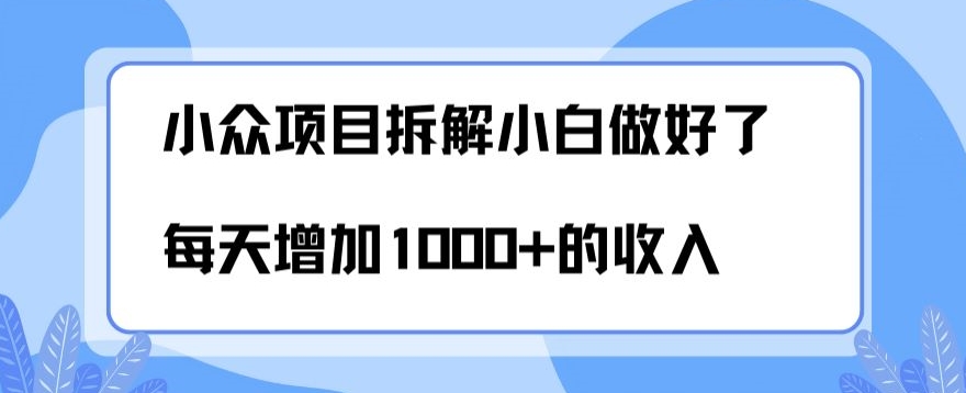 小众项目拆解，小白做好了每天可增加1000多的收入 - 搞薯条网-搞薯条网