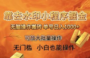 靠去水印小程序无脑操作搬砖,单号日入1000+保姆级教程可放大批量操作【揭秘】-搞薯条网