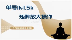十万个富翁修炼宝典15.单号1k-1.5k,矩阵放大操作-搞薯条网
