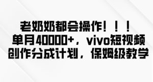 老奶奶都会操作,新平台无脑操作,单月40000+,vivo短视频创作分成计划【揭秘】-搞薯条网