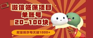 微信领低保单账号20元-100元,批量操作每天破1000+-搞薯条网