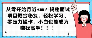 从零开始月近3w?揭秘面试项目掘金秘笈,轻松学习、零压力操作,小白也能成为赚钱高手-搞薯条网