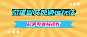 微信图文纯搬运玩法,新手可直接操作-搞薯条网