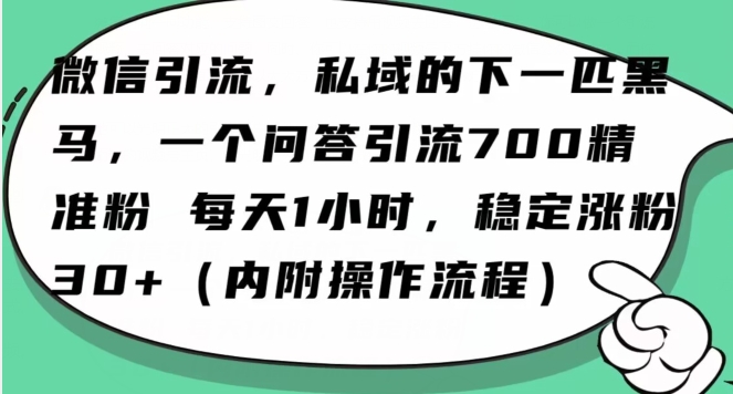 怎么搞精准创业粉？微信新赛道，每天一小时，利用Ai一个问答日引100精准粉 - 搞薯条网-搞薯条网