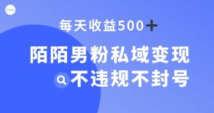 陌陌男粉私域变现新玩法,日入500+,不违规不封号-搞薯条网
