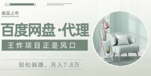 度盘代理,月入7w保姆级全方位教程-搞薯条网