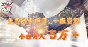 免费送卡项目,一级资源,小白月入5万+-搞薯条网