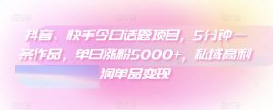 抖音、快手今日话题项目,5分钟一条作品,单日涨粉5000+,私域高利润单品变现-搞薯条网