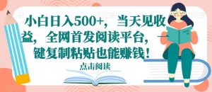 小白日入500+，当天见收益，全网首发阅读平台，一键复制粘贴也能赚钱！-搞薯条网