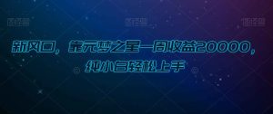 新风口，靠元梦之星一周收益20000，纯小白轻松上手-搞薯条网