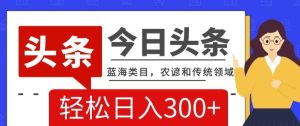 AI头条传统和农谚领域,蓝海类目,搬运+AI优化,轻松日入300+【揭秘】-搞薯条网