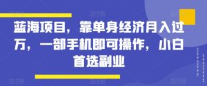 蓝海项目,靠单身经济月入过万,一部手机即可操作,小白首选副业【揭秘】-搞薯条网