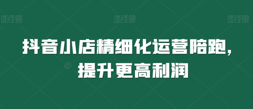 抖音小店精细化运营陪跑，提升更高利润-森森项目库