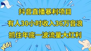 抖音直播暴利项目，有人30小时收入36万音浪，公司宣传片年会视频制作，抓住年底一波流量大红利【揭秘】-搞薯条网
