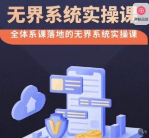 老衲·无界系统实操课,全体系落地无界改版后选择、出价、高投产做付费引流-搞薯条网