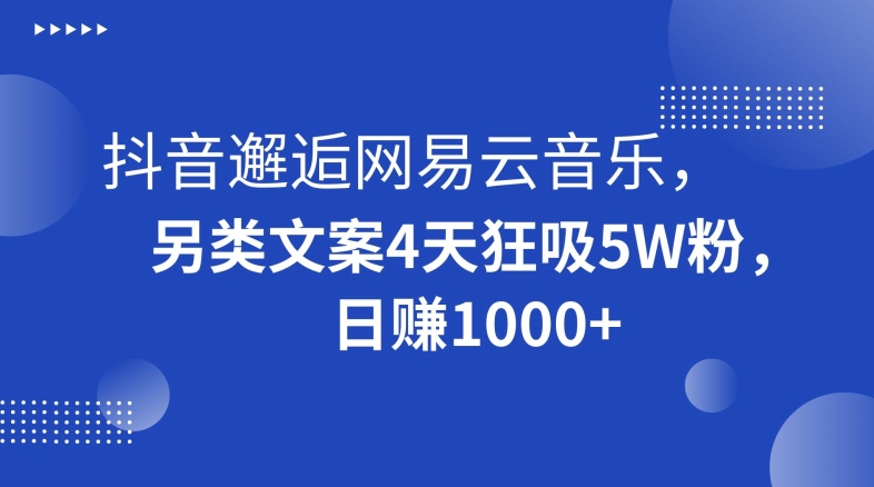 抖音邂逅网易云音乐，另类文案4天狂吸5W粉，日赚1000+【揭秘】-森森项目库