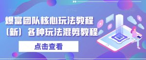 爆富团队核心玩法教程(新)各种玩法混剪教程-搞薯条网