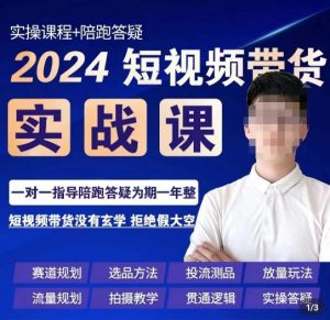果哥·2024短视频带货实操课,赛道规划/选品方法/投流测品/放量玩法/流量规划/拍摄教学-搞薯条网