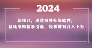 2024新项目，通过国外社交软件，快速涨粉精准引流，轻松做到月入上万【揭秘】-搞薯条网