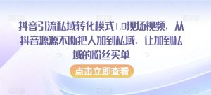 抖音引流私域转化模式1.0现场视频,从抖音源源不断把人加到私域,让加到私域的粉丝买单-搞薯条网