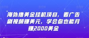 海外撸美金挂机项目,看广告刷视频赚美元,学会你也能月赚2000美金-搞薯条网