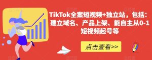 TikTok全案短视频+独立站,包括:建立域名、产品上架、能自主从0-1短视频起号等-搞薯条网