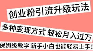 创业粉引流升级玩法,多种变现方式轻松月入过万,保姆级教学新手小白也能轻易上手!-搞薯条网
