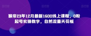 猴帝23年12月最新1600线上课程,0粉起号实操教学,自然流量天花板-搞薯条网