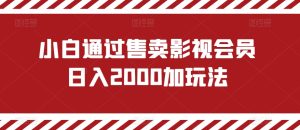 小白通过售卖影视会员日入2000加玩法-搞薯条网