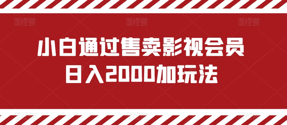 小白通过售卖影视会员日入2000加玩法 - 搞薯条网-搞薯条网