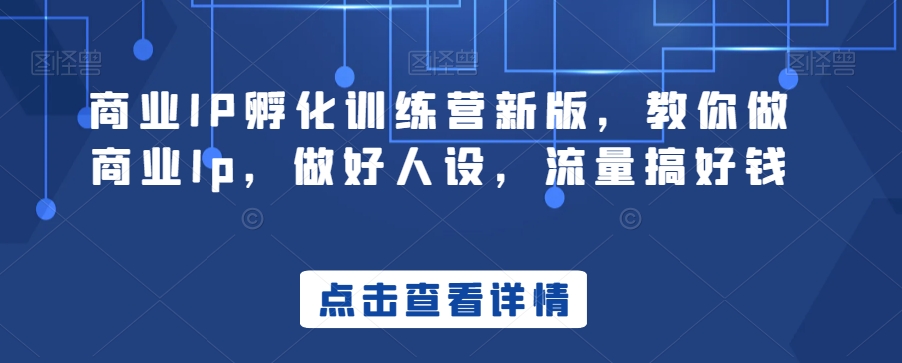 商业IP孵化训练营新版，教你做商业Ip，做好人设，流量搞好钱-森森项目库