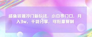 咸鱼货源冷门新玩法,小白零门口,月入3w,干货分享,可批量复制-搞薯条网