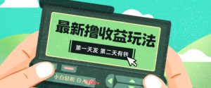 2024最新撸视频收益玩法,第一天发,第二天就有钱-搞薯条网