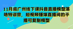 11月底广州线下课抖音直播模型落地特训营,短视频锤爆直播间的平播可复制模型-搞薯条网